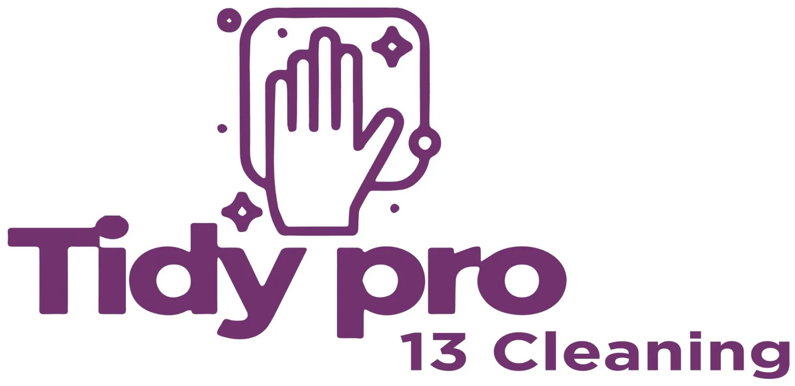 TidyPro13Cleaning